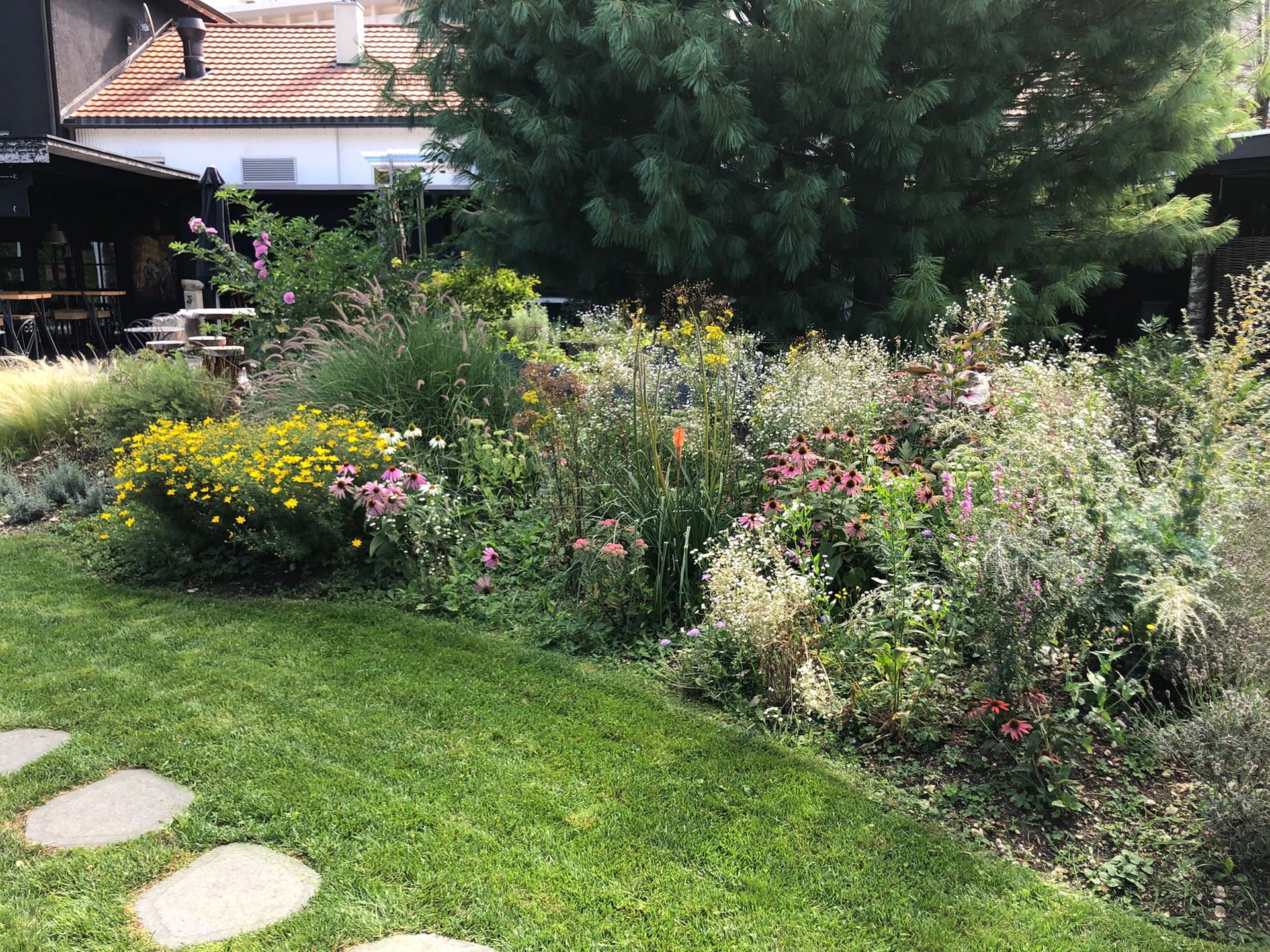 Massif de vivaces en été avec rudbeckias et échinacées