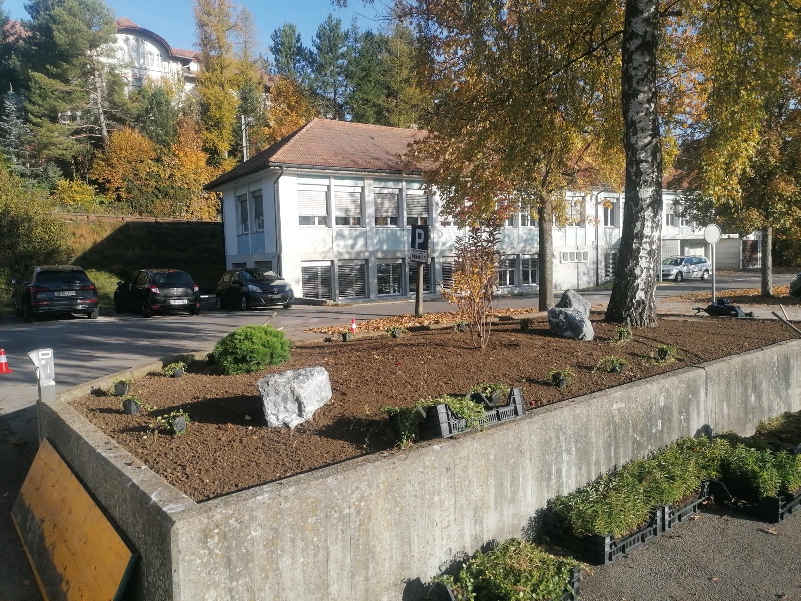 Plantation sur talus avec muret, réalisation Permajardin, Création